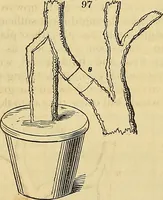 An illustration from The gardener's magazine and register of rural & domestic improvement (1826)