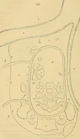 An illustration from The gardener's magazine and register of rural & domestic improvement (1826)