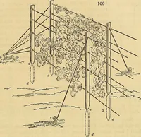 An illustration from The gardener's magazine and register of rural & domestic improvement (1826)