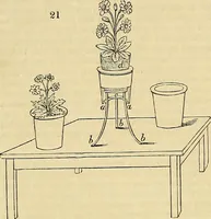 Picture 16 of 121 from The gardener's magazine and register of rural & domestic improvement (1826), leaf 57