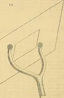 An illustration from The gardener's magazine and register of rural & domestic improvement (1826)