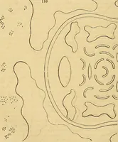 Picture 92 of 121 from The gardener's magazine and register of rural & domestic improvement (1826), leaf 577