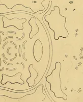 An illustration from The gardener's magazine and register of rural & domestic improvement (1826)