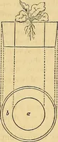 Picture 94 of 121 from The gardener's magazine and register of rural & domestic improvement (1826), leaf 585