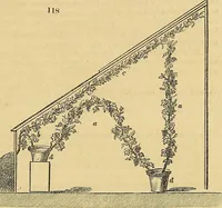 Picture 95 of 121 from The gardener's magazine and register of rural & domestic improvement (1826), leaf 592