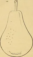 An illustration from The gardener's magazine and register of rural & domestic improvement (1826)