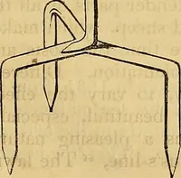 An illustration from The gardener's magazine and register of rural & domestic improvement (1826)