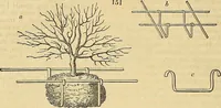 An illustration from The gardener's magazine and register of rural & domestic improvement (1826)
