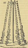 An illustration from The gardener's magazine and register of rural & domestic improvement (1826)