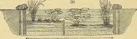 Picture 23 of 121 from The gardener's magazine and register of rural & domestic improvement (1826), leaf 97