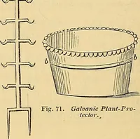 Picture 36 of 40 from The gardener's magazine and register of rural & domestic improvement (1826), leaf 622