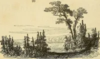 An illustration from The gardener's magazine and register of rural & domestic improvement (1826)