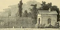 Picture 19 of 109 from The gardener's magazine and register of rural & domestic improvement (1826), leaf 146