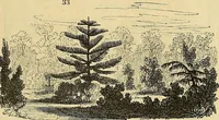 An illustration from The gardener's magazine and register of rural & domestic improvement (1826)