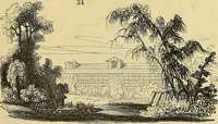 Picture 27 of 109 from The gardener's magazine and register of rural & domestic improvement (1826), leaf 157
