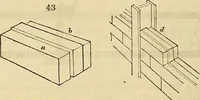 Picture 35 of 109 from The gardener's magazine and register of rural & domestic improvement (1826), leaf 204