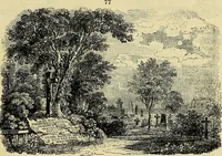 Picture 62 of 109 from The gardener's magazine and register of rural & domestic improvement (1826), leaf 275