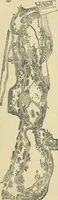 Picture 87 of 109 from The gardener's magazine and register of rural & domestic improvement (1826), leaf 409