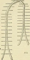 An illustration from The gardener's magazine and register of rural & domestic improvement (1826)