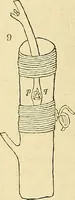 Picture 3 of 109 from The gardener's magazine and register of rural & domestic improvement (1826), leaf 52