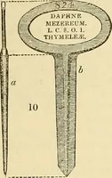 Picture 4 of 109 from The gardener's magazine and register of rural & domestic improvement (1826), leaf 54