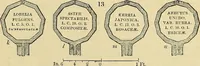 Picture 7 of 109 from The gardener's magazine and register of rural & domestic improvement (1826), leaf 55