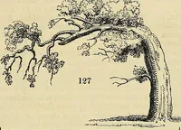 An illustration from The gardener's magazine and register of rural & domestic improvement (1826)