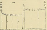 Picture 108 of 109 from The gardener's magazine and register of rural & domestic improvement (1826), leaf 569