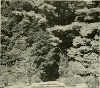 An illustration from The garden and its accessories (1907)