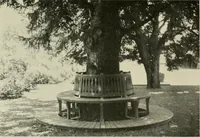 An illustration from The garden and its accessories (1907)