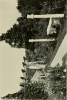 An illustration from The garden and its accessories (1907)
