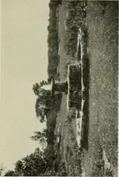An illustration from The garden and its accessories (1907)
