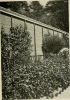 An illustration from The garden and its accessories (1907)