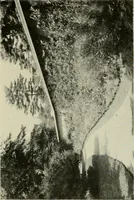 An illustration from The garden and its accessories (1907)
