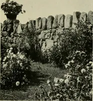An illustration from The garden and its accessories (1907)