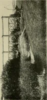 An illustration from The garden and its accessories (1907)