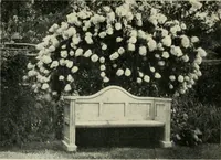 An illustration from The garden and its accessories (1907)