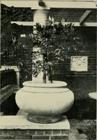 An illustration from The garden and its accessories (1907)