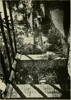 An illustration from The garden and its accessories (1907)