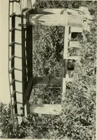 An illustration from The garden and its accessories (1907)