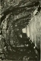 An illustration from The garden and its accessories (1907)