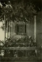 An illustration from The garden and its accessories (1907)