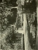 An illustration from The garden and its accessories (1907)