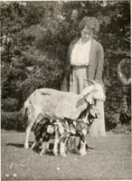 An illustration from The garden of experience (1922)