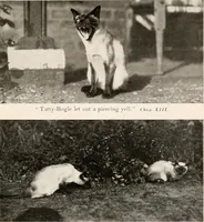 Picture 19 of 25 from The garden of experience (1922), leaf 261