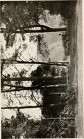 An illustration from The garden of experience (1922)