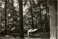 Picture 5 of 25 from The garden of experience (1922), leaf 45