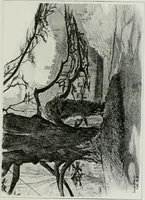 An illustration from Gardens of celebrities and celebrated gardens in and around London (1918)