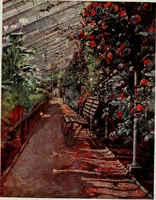Picture 22 of 30 from Gardens of celebrities and celebrated gardens in and around London (1918), leaf 234