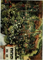 Picture 26 of 30 from Gardens of celebrities and celebrated gardens in and around London (1918), leaf 310